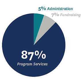 Pie chart graphic