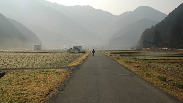 walking-down-road