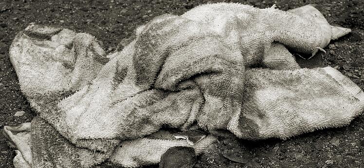 dirty towel.cropped