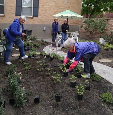 AOH garden workers crop