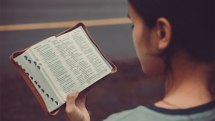 adobe_girl reading bible OTS