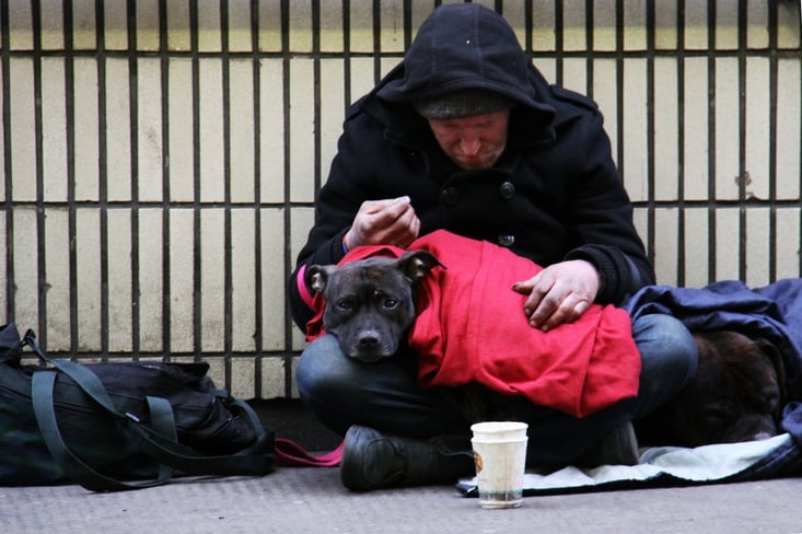 homeless man with dog