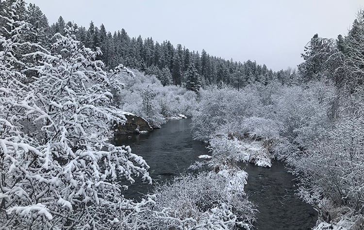 winter river